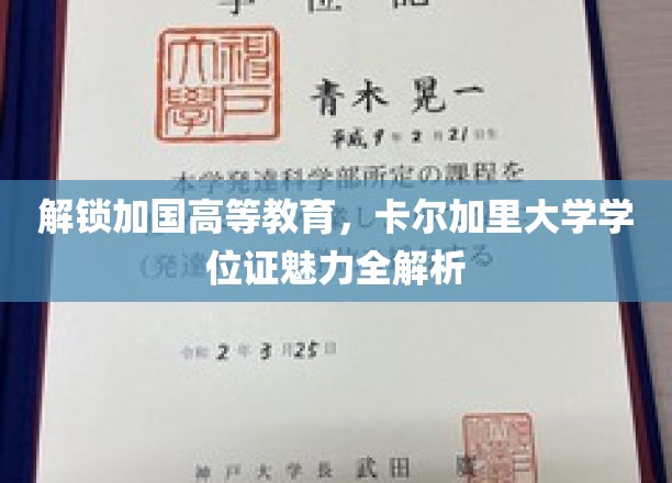 解锁加国高等教育，卡尔加里大学学位证魅力全解析