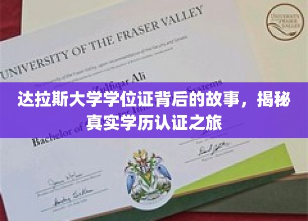 达拉斯大学学位证探秘，揭开学历认证背后的精彩旅程
