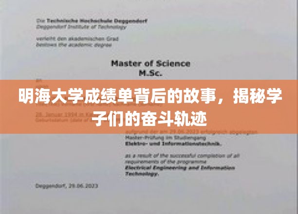揭开明海大学成绩单背后的奋斗传奇