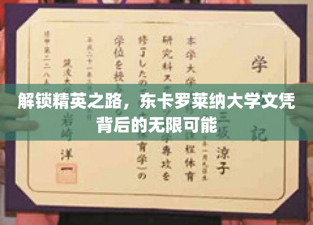解锁精英之路，东卡罗莱纳大学文凭背后的无限可能