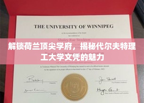 解锁荷兰顶尖学府，揭秘代尔夫特理工大学文凭的魅力