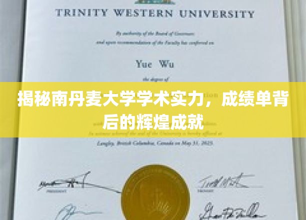 解码南丹麦大学卓越学术之光，揭秘非凡成就背后的辉煌历程