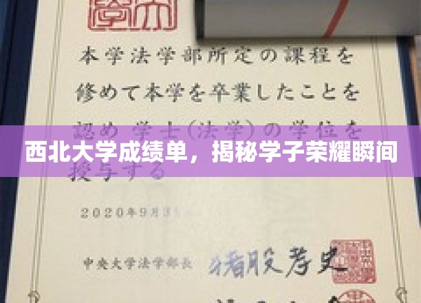 西北大学成绩单，揭秘学子荣耀瞬间