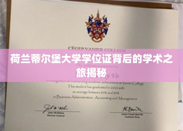 荷兰蒂尔堡大学学位证背后的学术之旅揭秘
