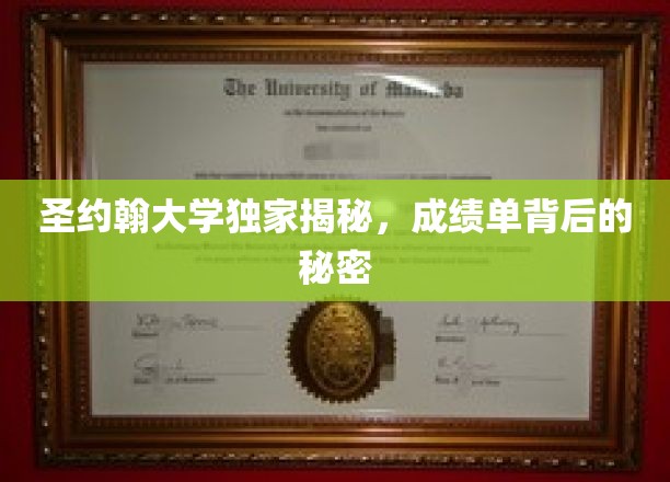 解码圣约翰，揭开成绩单背后的神秘面纱