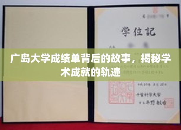探寻广岛大学成绩单背后的传奇，学术辉煌的神秘轨迹