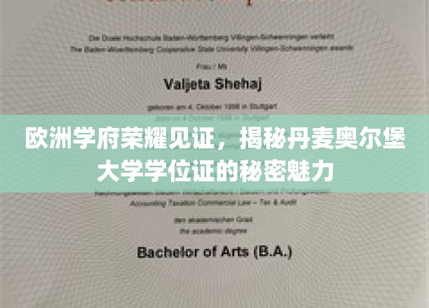 丹麦奥尔堡大学学位证闪耀欧洲，揭秘独特荣耀背后的故事