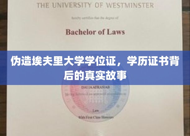 学历证书迷雾，揭秘伪造埃夫里大学学位证的惊心动魄之旅