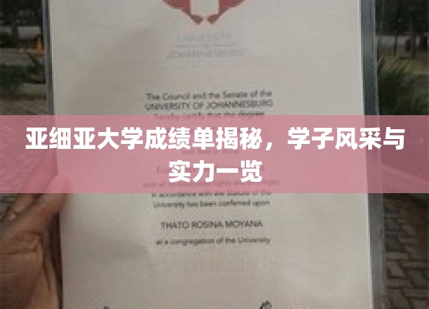 解码亚细亚，学子成绩背后的荣耀与风采