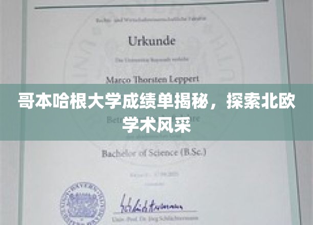 哥本哈根大学成绩单背后，一窥北欧教育魅力
