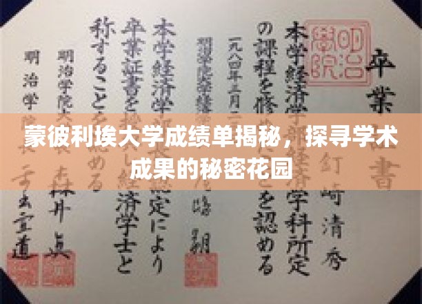 揭开蒙彼利埃大学成绩单背后的学术秘境