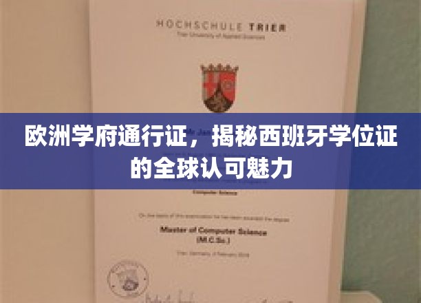 跨国认可通行证，西班牙学位在欧洲学府的魅力之旅