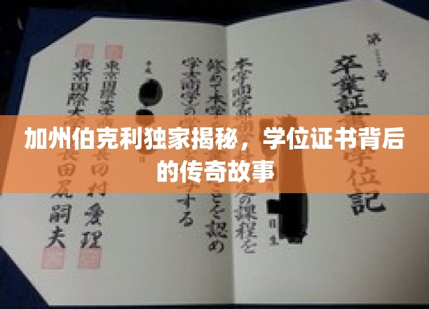 伯克利传奇，学位证书背后的不为人知之谜