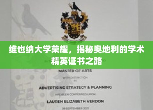 探索维也纳大学风采，揭秘奥地利精英学术证书养成记