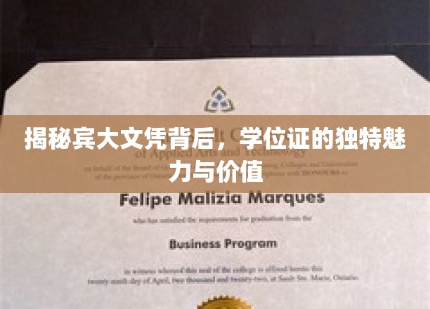 宾大文凭的魅力，解码学位证的非凡价值