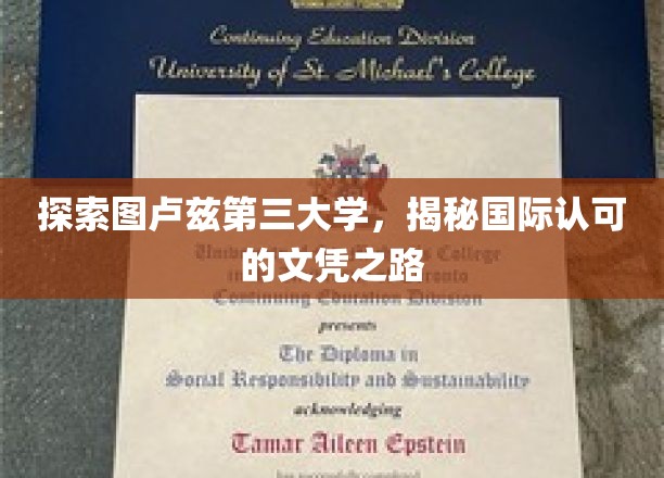图卢兹第三大学揭秘，国际视野下的文凭成就之旅