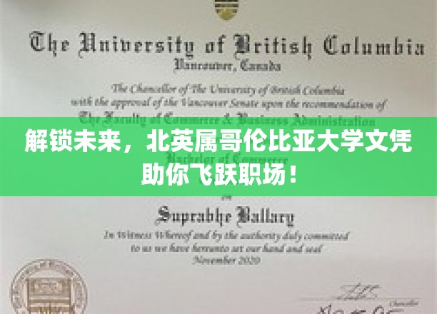 解锁未来，北英属哥伦比亚大学文凭助你飞跃职场！