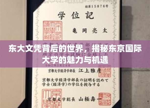 探索东京国际大学，东大文凭背后的无限魅力与广阔机遇