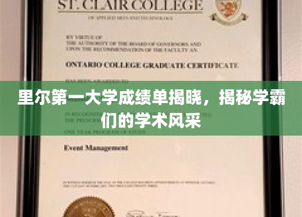 学霸风采大揭秘，里尔第一大学成绩单背后的学术精英画像