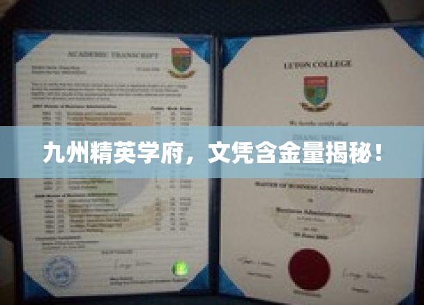 揭秘九州精英学府，文凭背后的非凡价值