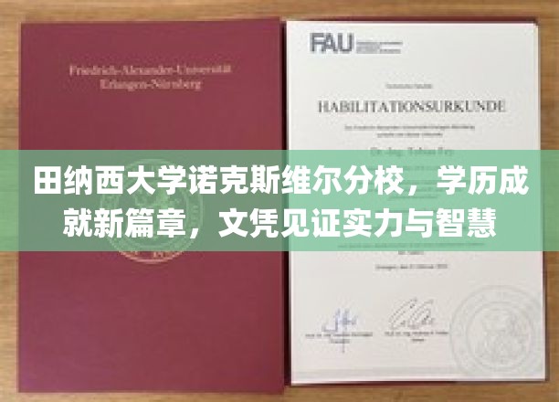 田纳西名校荣耀启航，诺克斯维尔分校文凭彰显卓越智慧与成就