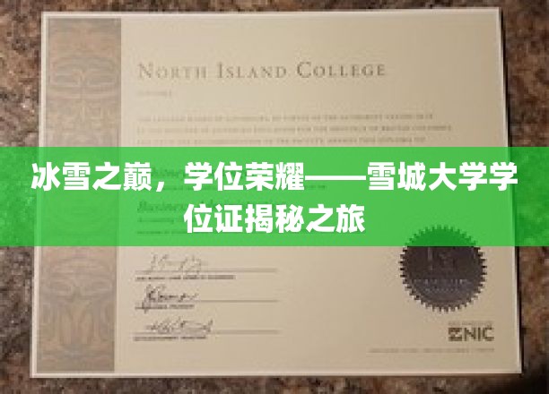 冰雪之巅，学位荣耀——雪城大学学位证揭秘之旅