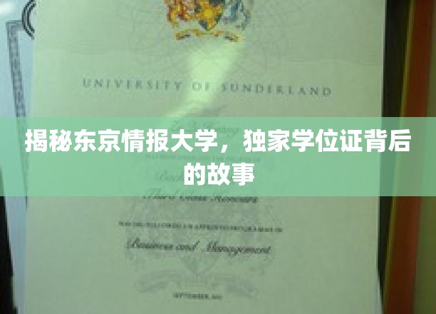 探秘东京情报大学，揭秘独门学位证背后的不为人知传奇