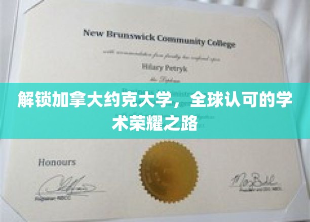 解锁加拿大约克大学，全球认可的学术荣耀之路