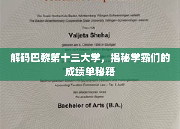 巴黎十三大学学霸秘籍大公开！
