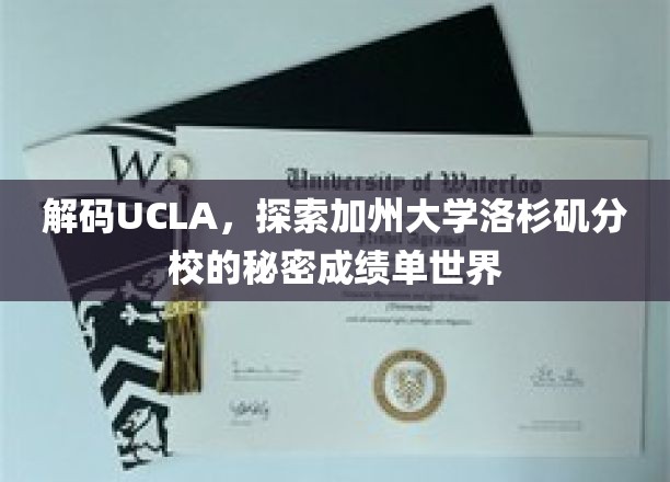 解码UCLA传奇，揭秘加州大学洛杉矶分校的学术奥秘