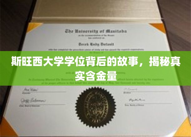 斯旺西大学学位背后的故事，揭秘真实含金量