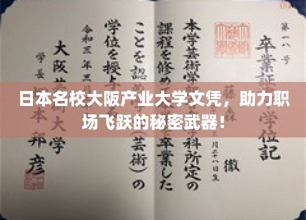 解锁职场新高度，大阪产业大学文凭，你的职业加速器！