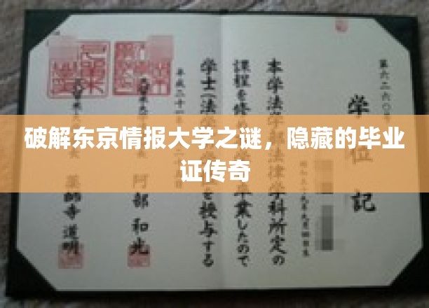 破解东京情报大学之谜,探寻隐藏的毕业证传奇