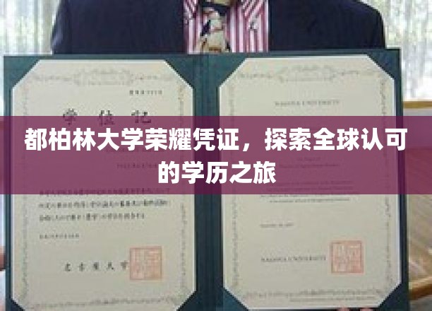 都柏林大学荣耀通行证，开启国际认可学历的精彩征程