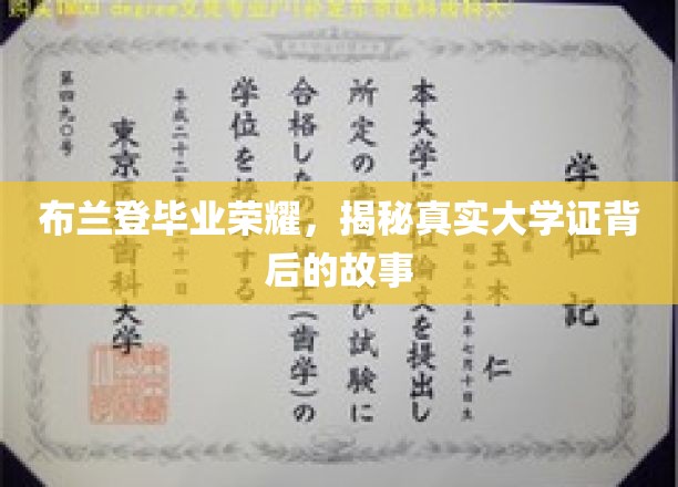 校园荣耀揭秘，布兰登毕业证书背后的不凡传奇