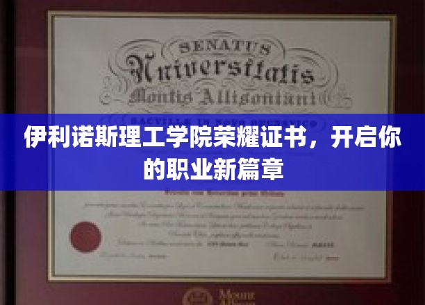 伊利诺斯理工学院独家荣耀证书，引领你的职业生涯巅峰起飞