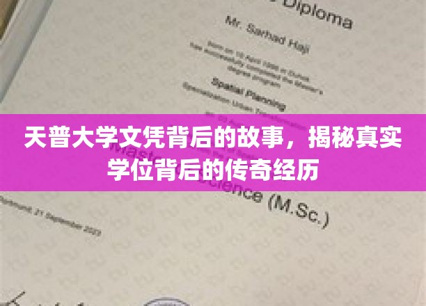 天普大学文凭背后的故事，揭秘真实学位背后的传奇经历