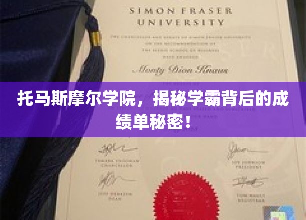 解码托马斯摩尔学院学霸的非凡成绩单秘诀