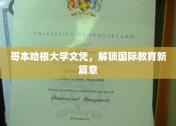 哥本哈根大学文凭，解锁国际教育新篇章