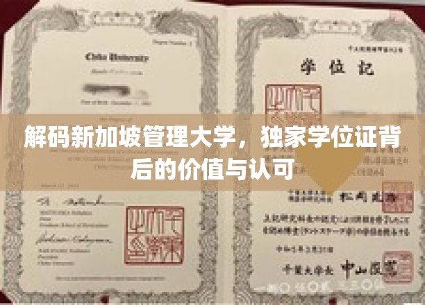 解码新加坡管理大学，独家学位证背后的价值与认可