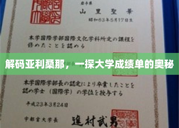 解码名校档案，揭秘亚利桑那大学成绩单背后的故事