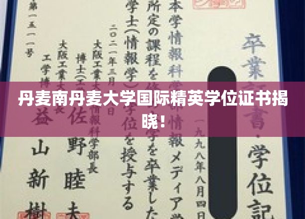 揭开南丹麦大学国际精英教育新篇章，学位证书荣耀亮相！