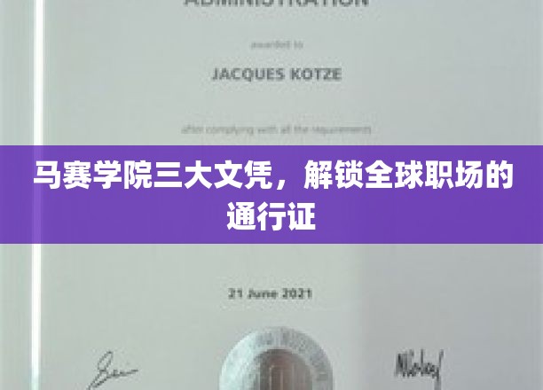 马赛学院三重认证，成就国际化职场精英之路