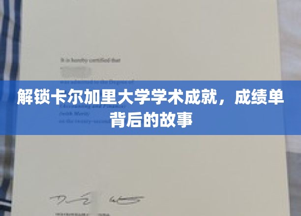 探寻卡尔加里大学学子辉煌背后的学术传奇
