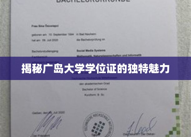 揭秘广岛大学学位证的独特魅力