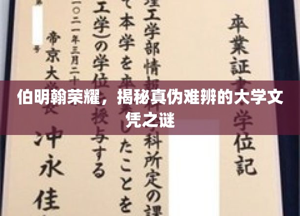 伯明翰荣耀，揭开真伪难辨的大学文凭之谜