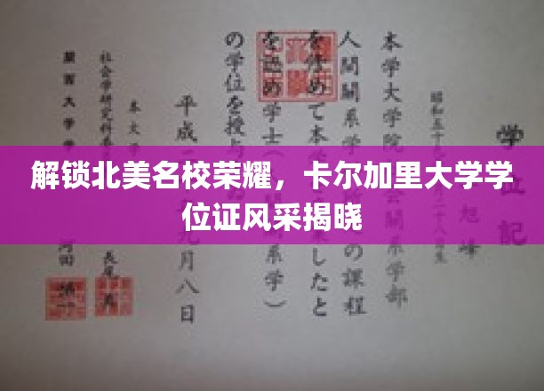 北美名校荣耀解码，卡尔加里大学学位证魅力绽放