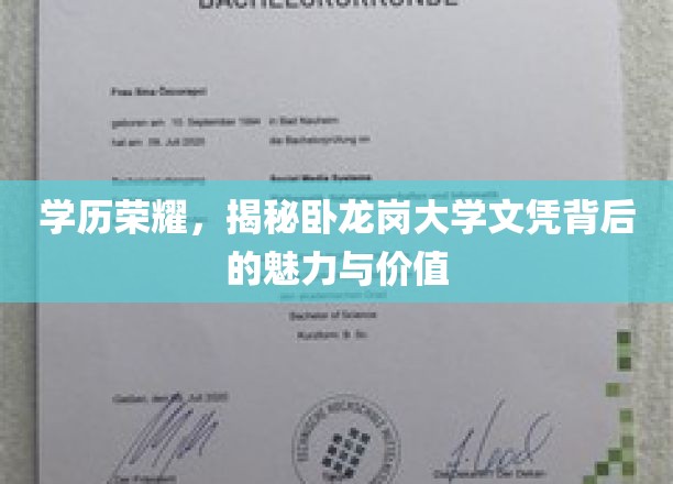 学位之光，卧龙岗大学文凭的璀璨魅力与无限价值