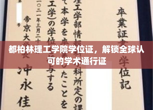 都柏林理工学院学位证书，开启全球认可的学术旅程
