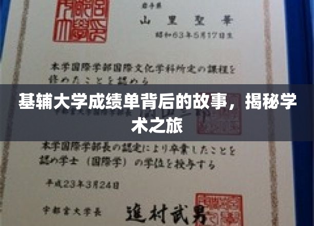 探寻基辅大学成绩单背后的传奇，一场学术征途的深度解析
